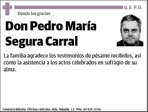 SEGURA CARRAL,PEDRO MARÍA