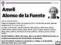 ALONSO DE LA FUENTE,AMELI