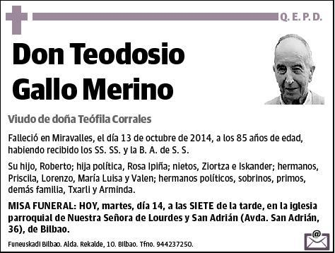 GALLO MERINO,TEODOSIO