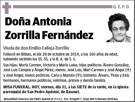 ZORRILLA FERNANDEZ,ANTONIA