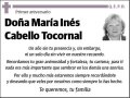 CABELLO TOCORNAL,MARIA INES