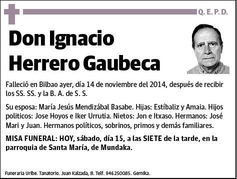 HERRERO GAUBECA,IGNACIO