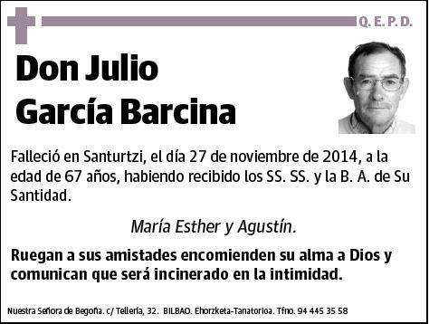 GARCIA BARCINA,JULIO