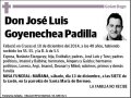GOYENECHEA PADILLA,JOSE LUIS