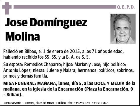 DOMINGUEZ MOLINA,JOSE