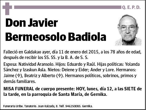 BERMEOSOLO BADIOLA,JAVIER