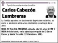 CABEZON LUMBRERAS,CARLOS