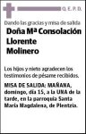 LLORENTE MOLINERO,Mª CONSOLACION