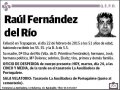 FERNANDEZ DEL RIO,RAUL