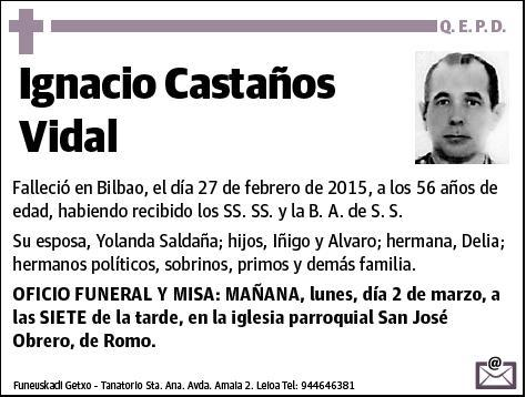 CASTAÑOS VIDAL,IGNACIO