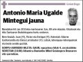UGALDE MINTEGUI,ANTONIO MARIA