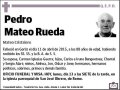 MATEO RUEDA,PEDRO