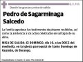 DE SAGARMINAGA SALCEDO,PEDRO