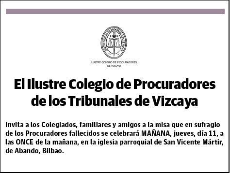 DE PROCURADORES DE BIZKAIA,ILUSTRE COLEGIO