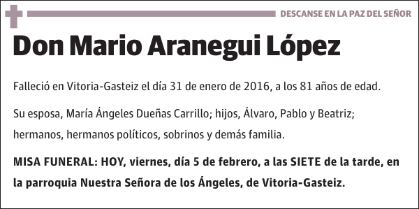 Mario Aranegui López