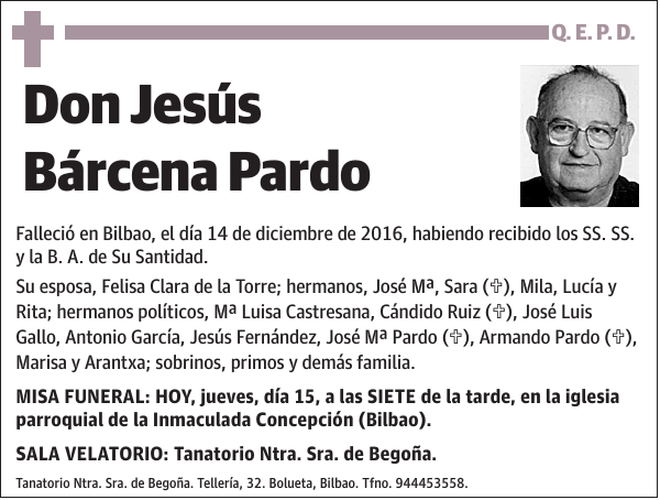 Jesús Bárcena Pardo