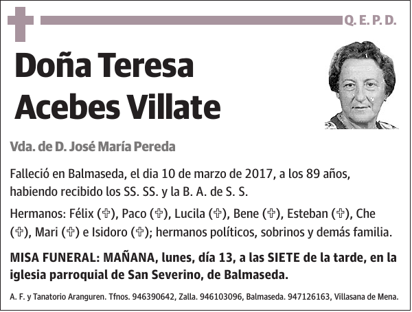 Teresa Acebes Villate