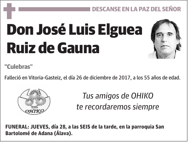 José Luis Elguea Ruiz de Gauna