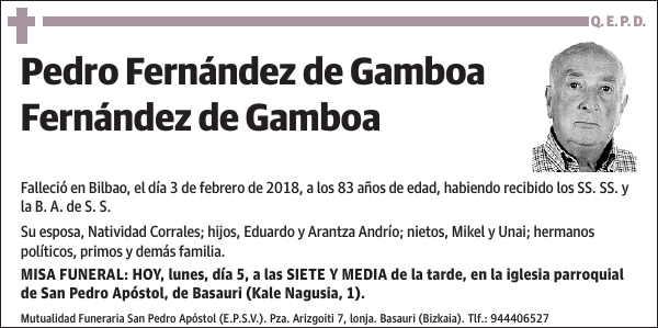 Pedro Fernández de Gamboa Fernández de Gamboa