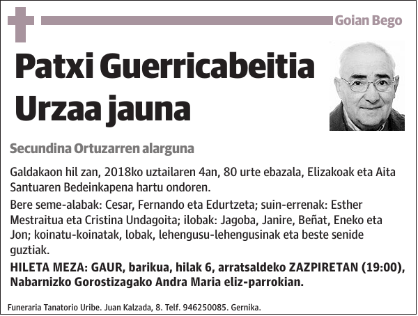 Patxi Guerricabeitia Urzaa