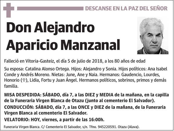 Alejandro Aparicio Manzanal