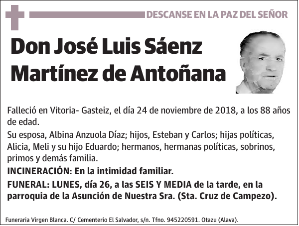 José Luis Sáenz Martínez de Antoñana