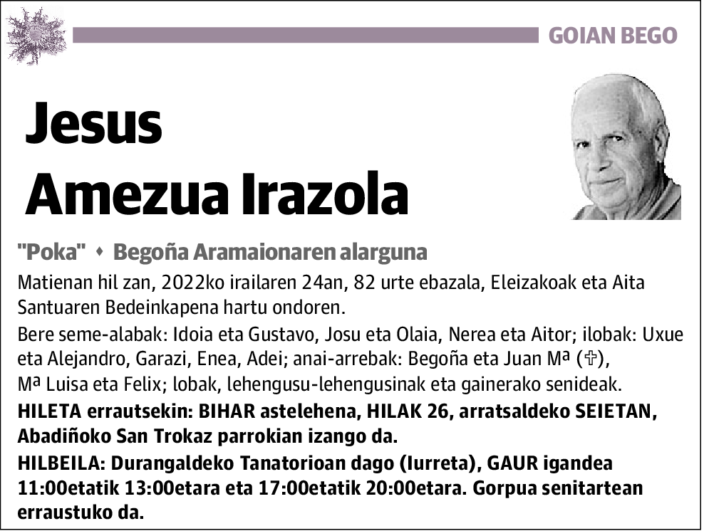 Jesus Amezua Irazola