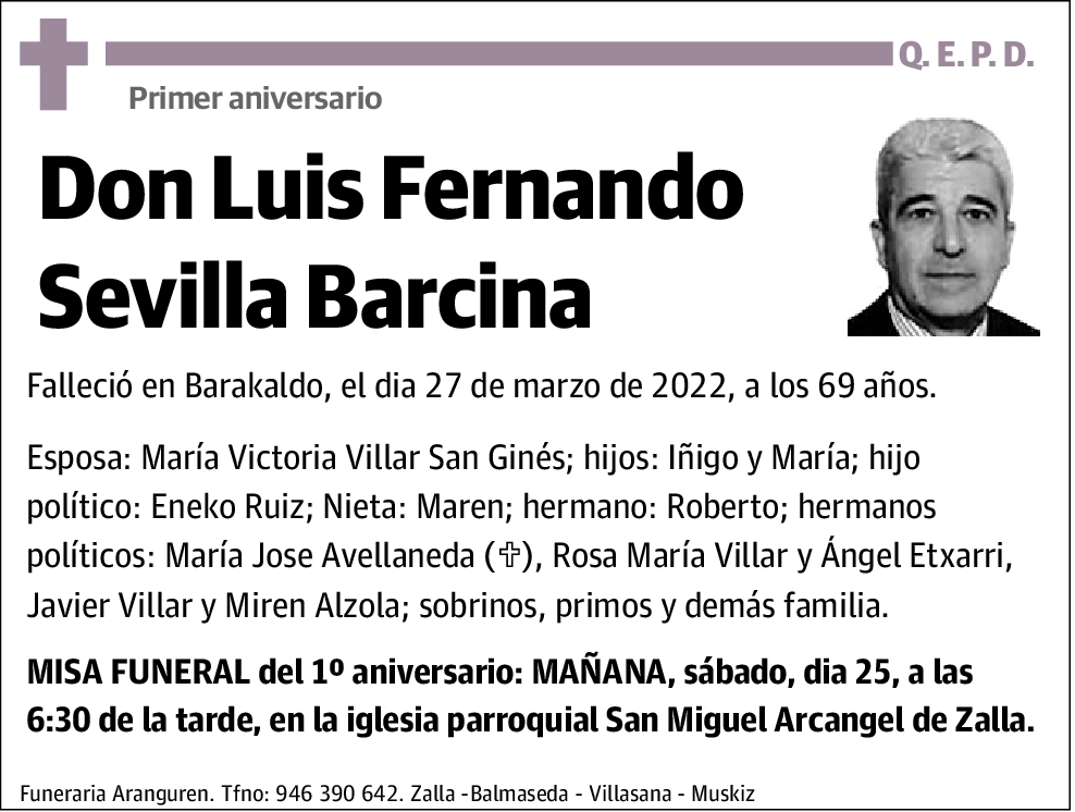 Luis Fernando Sevilla Barcina
