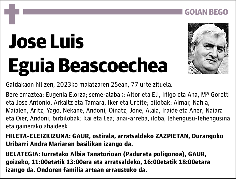 Jose Luis Eguia Beascoechea