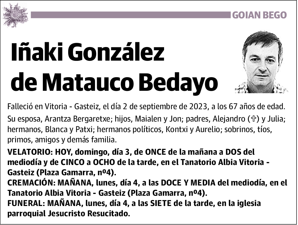 Iñaki González de Matauco Bedayo