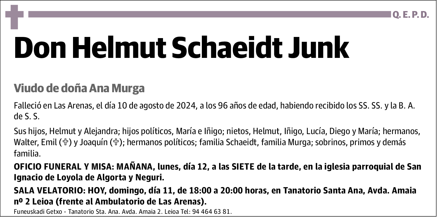 Helmut Schaeidt Junk