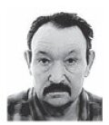 Francisco Javier Arauzo Martín