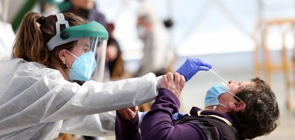 Covid Euskadi: La pandemia deja en Euskadi 748 nuevos casos de covid y 35 fallecidos en la última semana - Vimarsana News