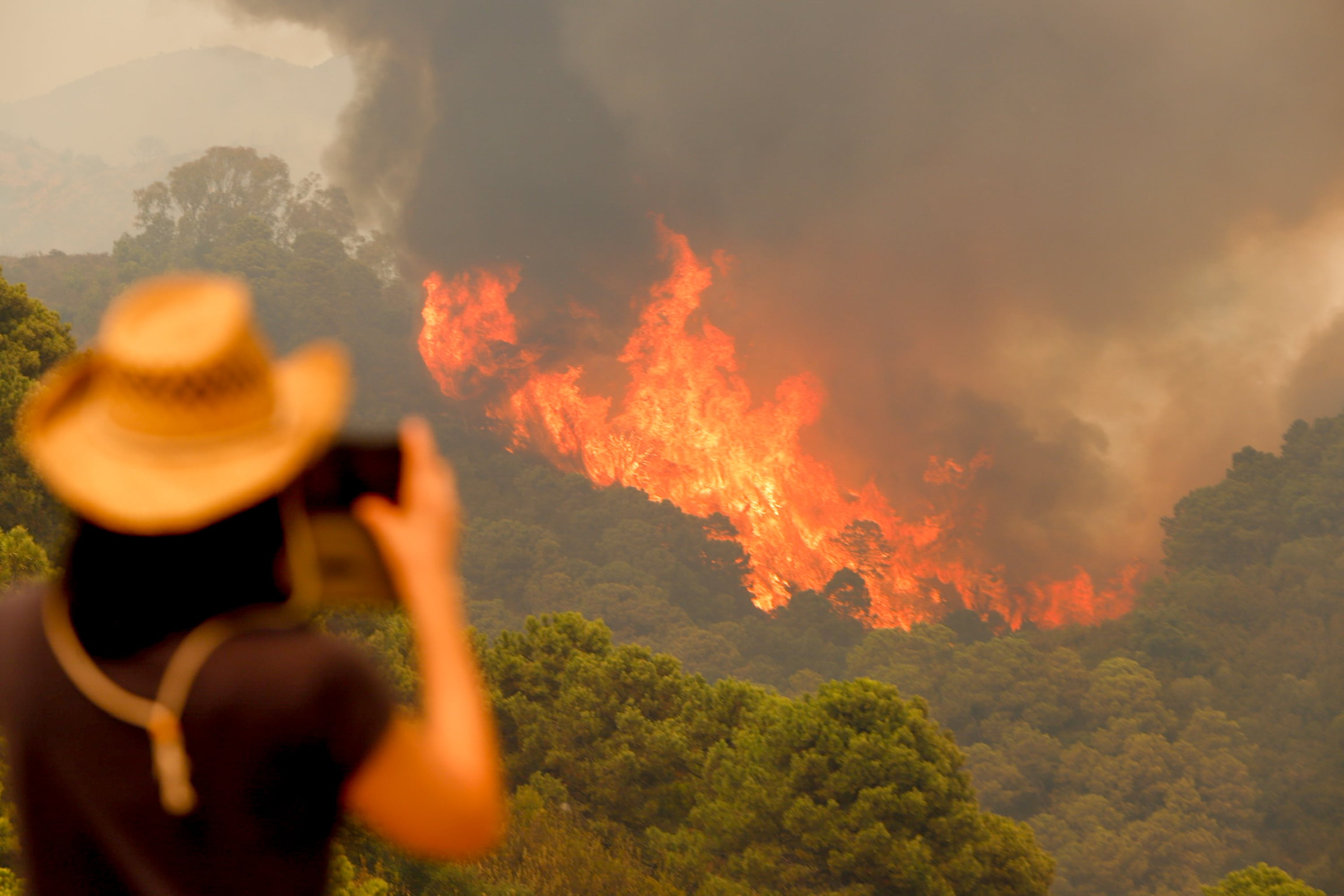 ¿qué Es Un Incendio De Sexta Generación Como El Que Arrasa La Sierra Malagueña El Correoemk 0606