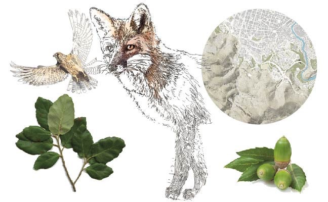 De Rekalde al monte Arraiz bajo la mirada del Pagasarri