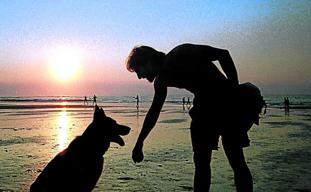 región lanza Auto Perros playas Bizkaia: Sopela, Plentzia y Barrika permitirán perros en la  temporada de baños al atardecer | El Correo